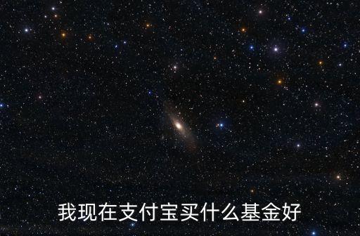 我現(xiàn)在支付寶買什么基金好