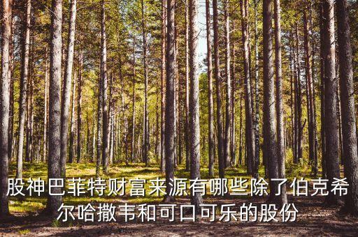 股神巴菲特財(cái)富來源有哪些除了伯克希爾哈撒韋和可口可樂的股份