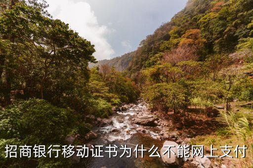 招商銀行移動證書為什么不能網(wǎng)上支付
