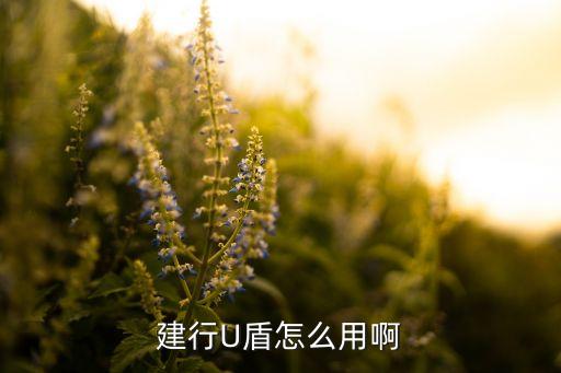 建行U盾怎么用啊