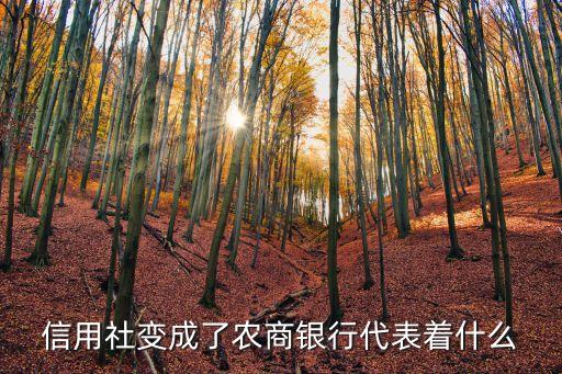 信用社變成了農(nóng)商銀行代表著什么