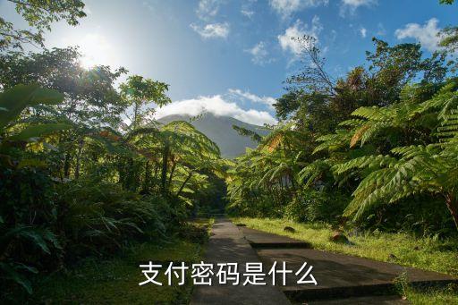 支付密碼是什么，支付密碼是什么密碼