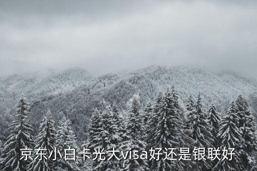 京東白卡什么版本好，中信光大民生這3家銀行的京東白條聯(lián)名卡選哪個(gè)