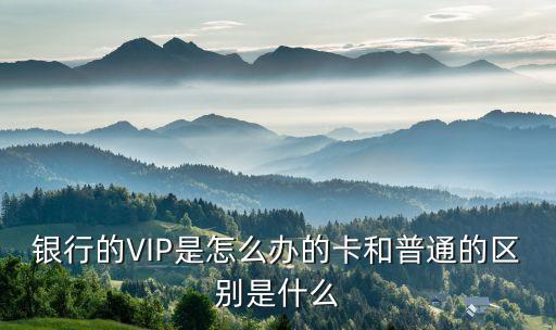 銀行vip業(yè)務(wù)是什么意思，建設(shè)銀行vip是什么意思