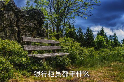 在銀行工作主要干什么的，銀行柜員都干什么