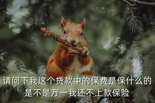 現(xiàn)金貸的保險(xiǎn)是 什么，請(qǐng)問下我這個(gè)貸款中的保費(fèi)是保什么的是不是萬一我還不上款保險(xiǎn)