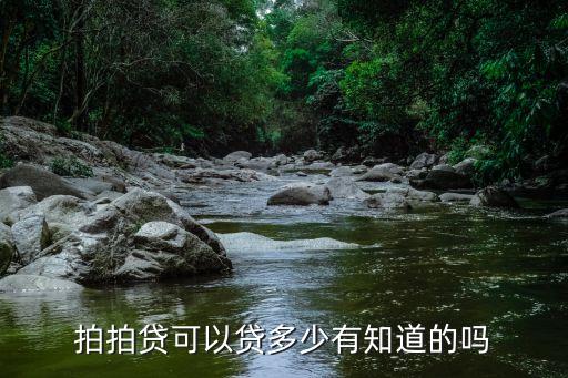 拍拍貸可以貸多少有知道的嗎