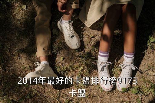 2014年最好的卡盟排行榜9173卡盟