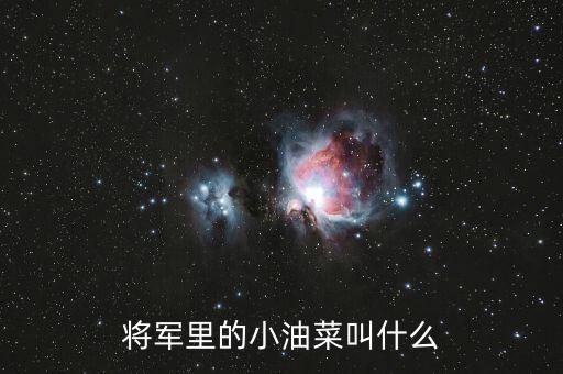 什么是小油菜，油菜和小油菜有什么關(guān)系