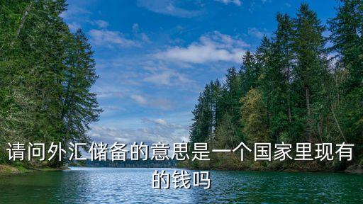 請問外匯儲備的意思是一個(gè)國家里現(xiàn)有的錢嗎