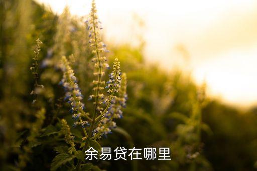 余易貸在哪里