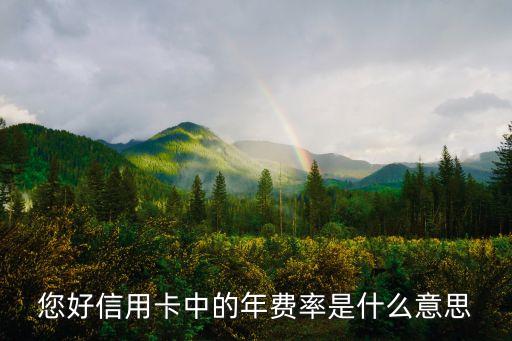 信用卡客戶費(fèi)率是什么意思，誰給解釋下招行行用卡貸款的 持卡人費(fèi)率是什么意思  問