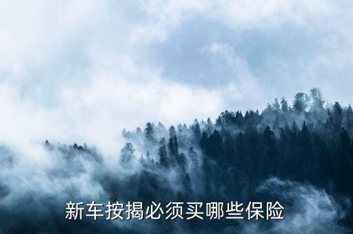 貸款車全險都有什么，貸款買車車輛全險包括什么