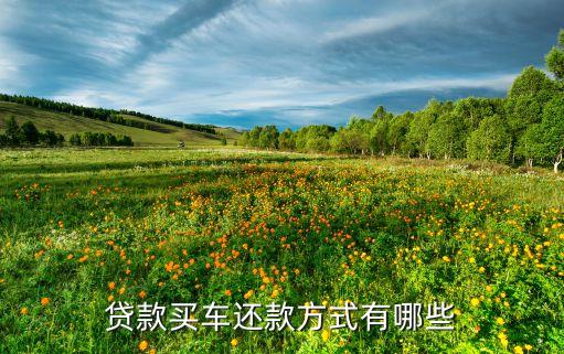 首付貸款買車怎么還款，貸款買車首付多少 怎么還款方式