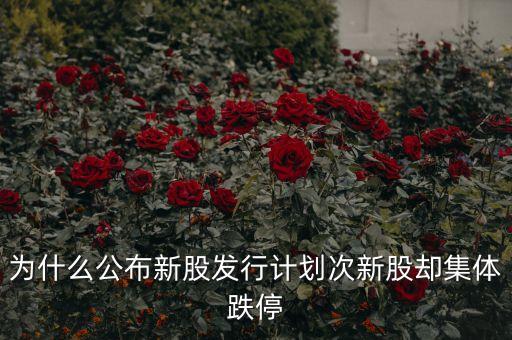 為什么公布新股發(fā)行計劃次新股卻集體跌停