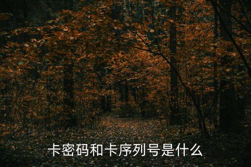 卡密碼和卡序列號(hào)是什么