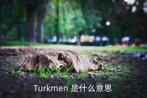 Turkmen 是什么意思