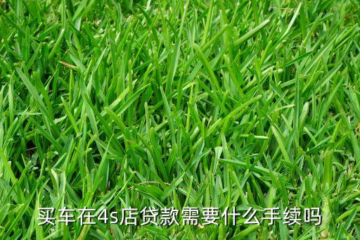 買車在4s店貸款需要什么手續(xù)嗎