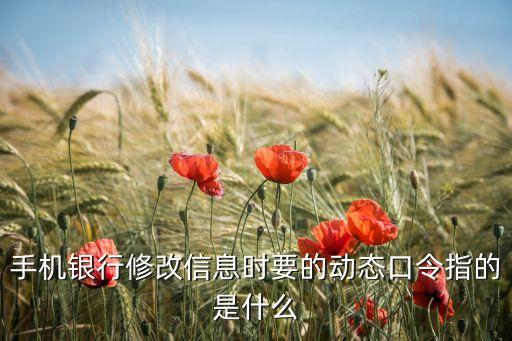 手機(jī)銀行修改信息時要的動態(tài)口令指的是什么
