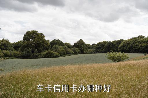 買車辦什么類型信用卡，車卡信用卡辦哪種好