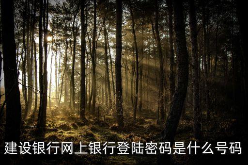 建設(shè)銀行網(wǎng)上銀行登陸密碼是什么號碼