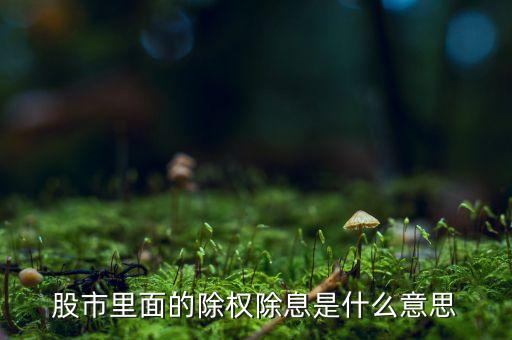 股市里面的除權除息是什么意思