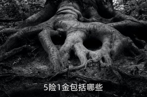 5險1金包括哪些