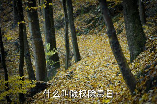 什么叫除權(quán)除息日