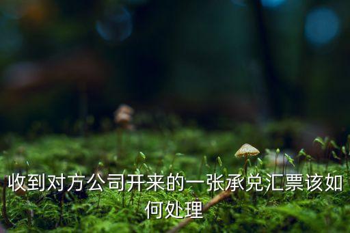 收到對方公司開來的一張承兌匯票該如何處理