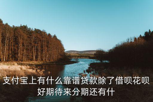 在支付寶網(wǎng)貸干什么，支付寶上有什么靠譜貸款除了借唄花唄好期待來分期還有什