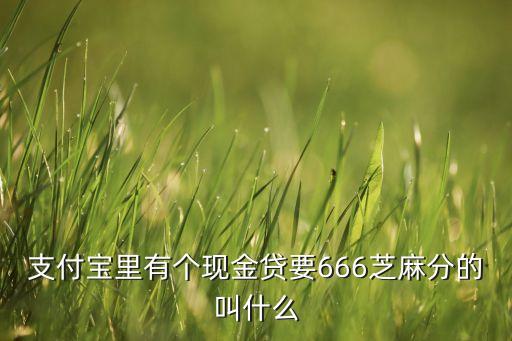 支付寶里有個現(xiàn)金貸要666芝麻分的叫什么