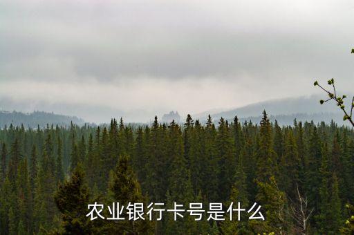 農(nóng)業(yè)銀行卡號(hào)是什么