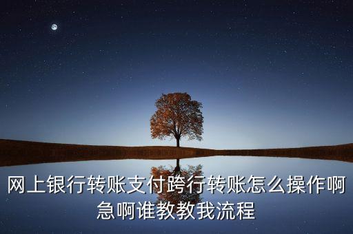 網(wǎng)上銀行轉賬支付跨行轉賬怎么操作啊急啊誰教教我流程
