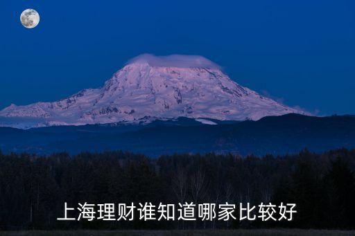 上海理財(cái)誰知道哪家比較好