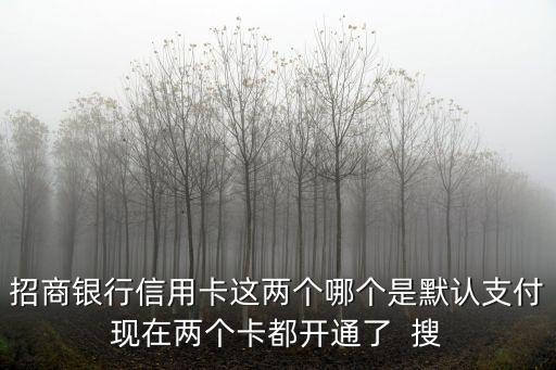 招商銀行信用卡這兩個哪個是默認支付現(xiàn)在兩個卡都開通了  搜