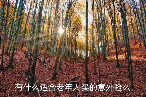 有什么適合老年人買的意外險(xiǎn)么