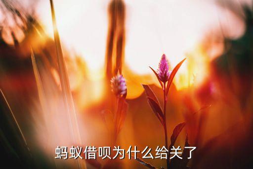 螞蟻借唄為什么被停用，螞蟻借唄為什么被關(guān)閉了原因何在