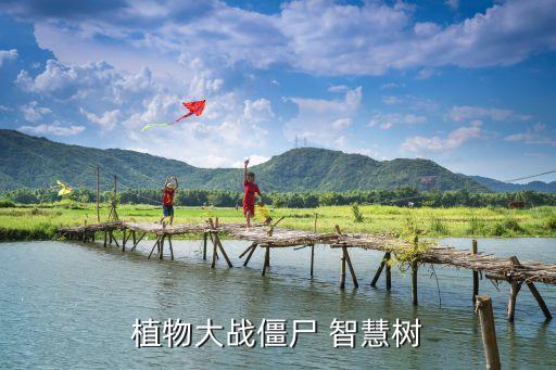 智慧樹(shù)卡是什么，植物大戰(zhàn)僵尸里的智慧樹(shù)是什么