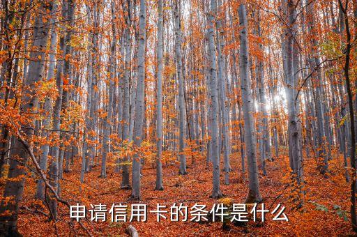 信用卡申請(qǐng)有什么條件是什么原因是什么，申請(qǐng)信用卡的條件是什么