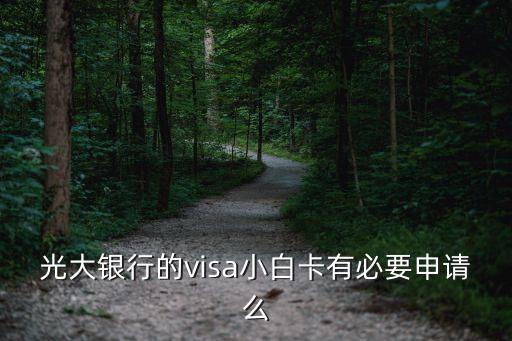 光大銀行的visa小白卡有必要申請么
