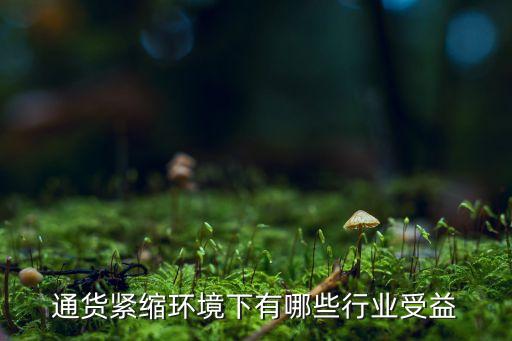 通貨緊縮環(huán)境下有哪些行業(yè)受益
