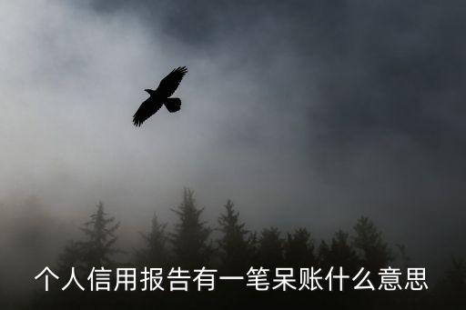 信用卡呆賬0是什么意思，個人信用報告有一筆呆賬什么意思