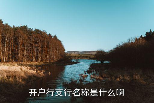 開戶行支行名稱是什么啊