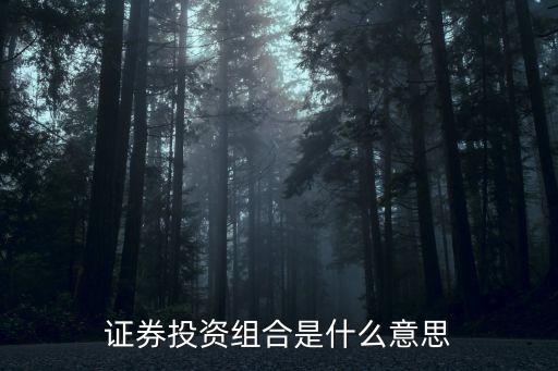 什么是證券投資組合，證券投資組合是什么意思