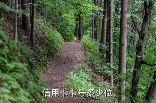 信用卡賬號是幾位數(shù)字代表什么意思啊，銀行卡卡號是幾位數(shù)一般是什么
