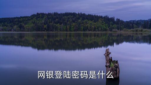 網(wǎng)銀登陸密碼是什么