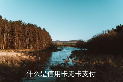 什么是信用卡無(wú)卡支付