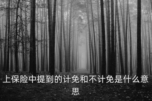 什么叫不記免賠險(xiǎn)，保險(xiǎn)三責(zé)不計(jì)免賠率保額限額為0是什么意思