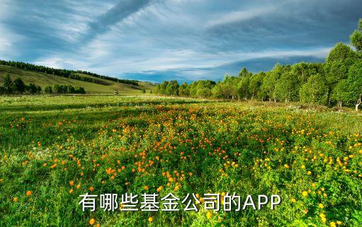 有哪些基金公司的APP