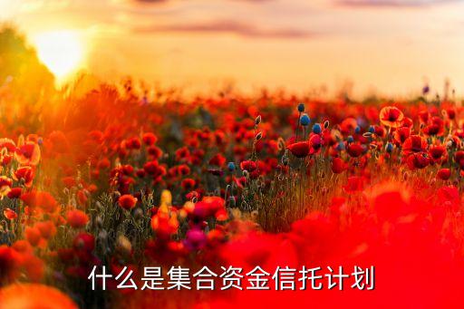 什么叫集合信托，集合信托什么是集合信托